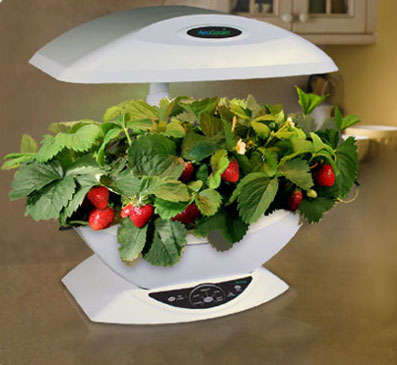 aerogarden.jpg