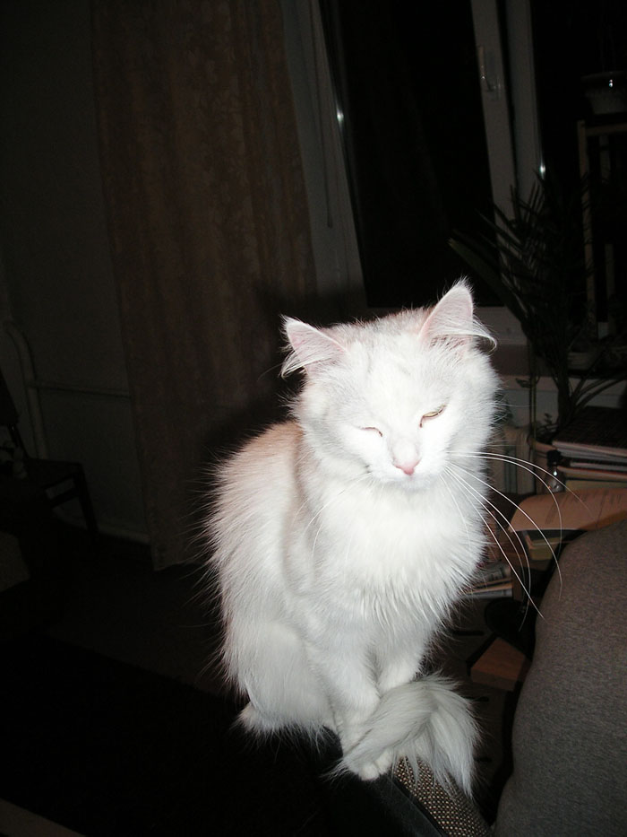 Ну достали вы меня...