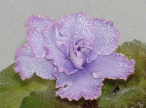 ЕК-Небесная Лазурь