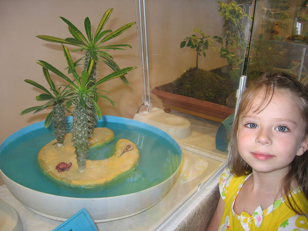 Такой вот необитаемый остров