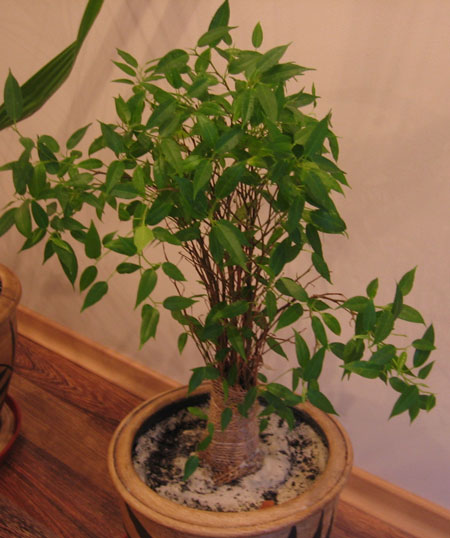 Это он еще до моих издевательств