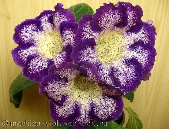 Колдовское Озеро