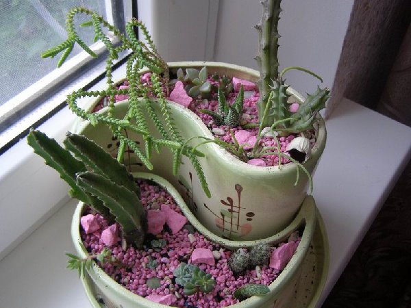 размера P6182256.JPG