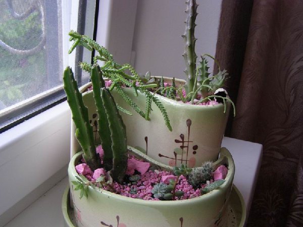 размера P6182257.JPG