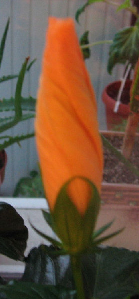 Вчера, вот такая &quot;свечка&quot;