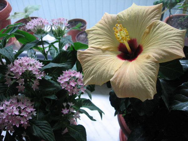 В тот же день в 9,00