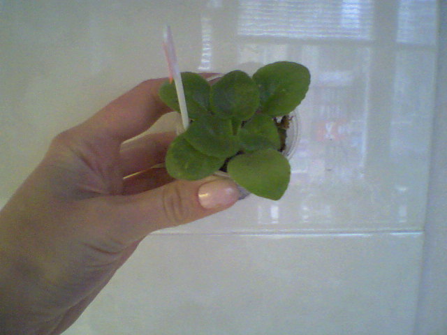 Детка из первого &amp;quot;помета&amp;quot;