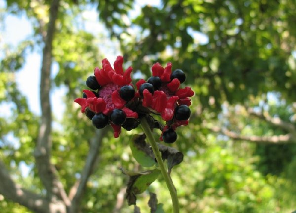 крымский 3.JPG