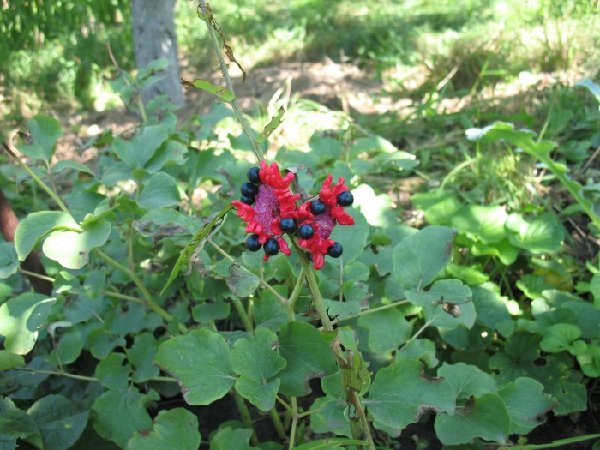 крымский 2.JPG