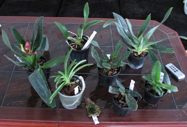 Груповой снимок