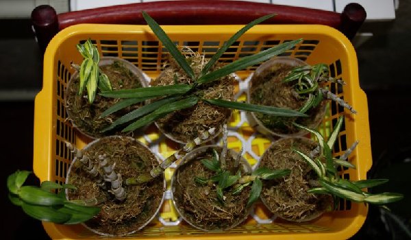 Фото сверху на всех сразу