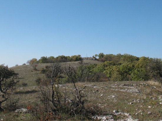 4152 Тарпан Баир.JPG