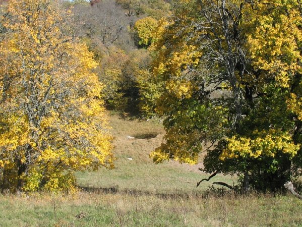 4128 Оленье озеро.JPG