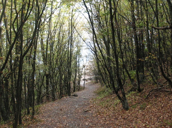 тропинка к Чертовой лестнице