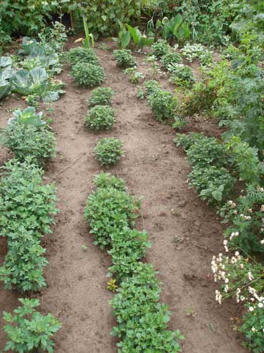 это начало июля.