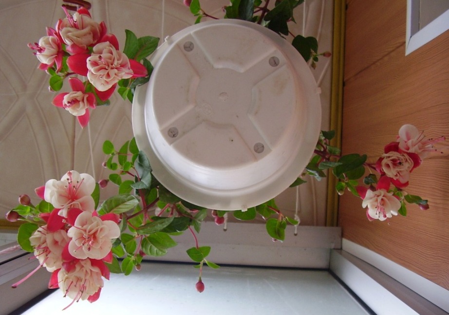 И другой ракурс