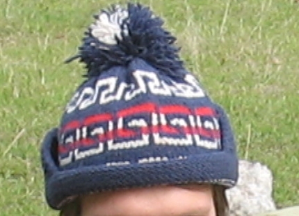 Это шапка в работе. Прижилась.