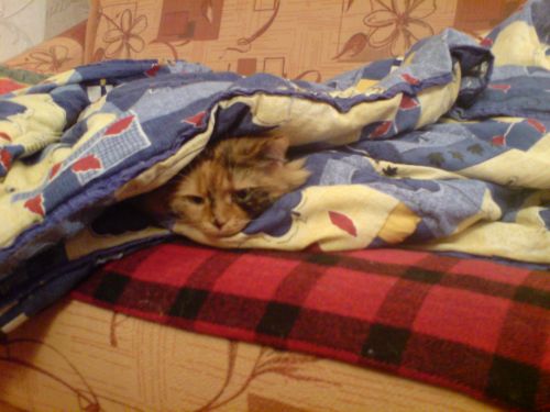 Лизавета Потаповна