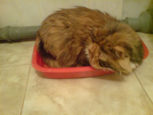 не мягко, зато тепло