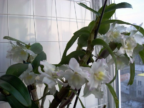 На закате, сегодня в 16.00