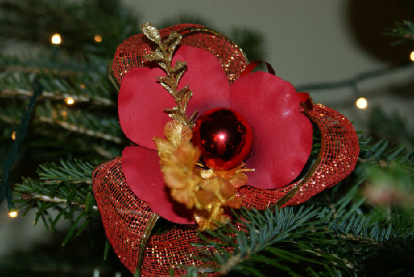 сама делала 31 декабря :))