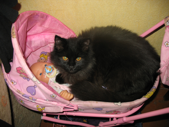 Это из первой партии приложений: