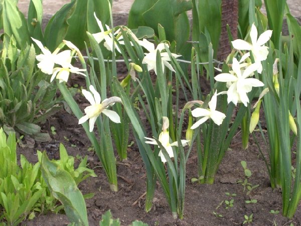 рословичи 013.jpg