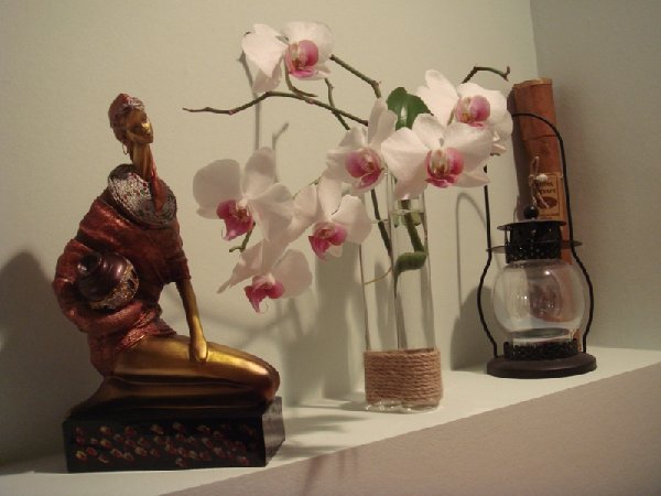 в вазочке.JPG