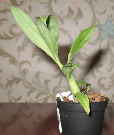 Совсем крошка