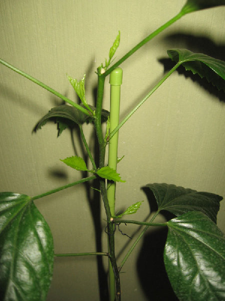 4---3 поменять местами.jpg