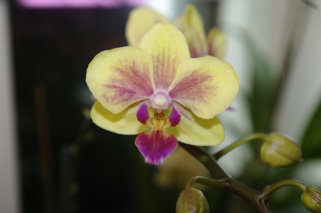 09.03.2009 _ 19_10_19.jpg