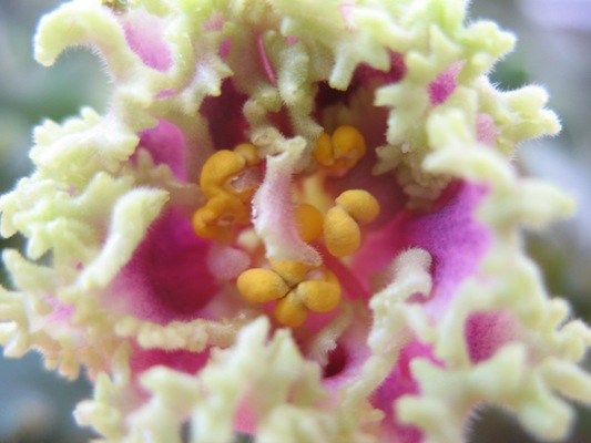 Б Я Так Жил.jpg