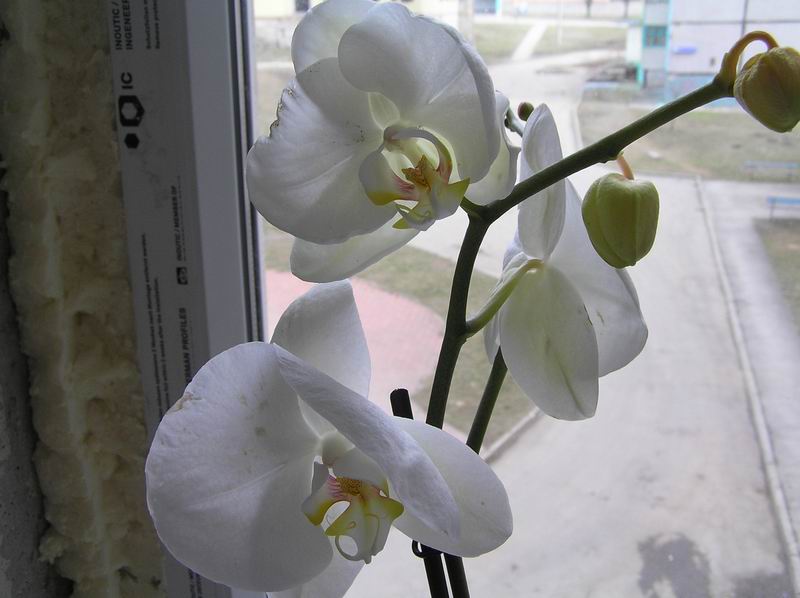 размера P3121087.JPG