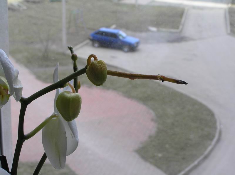 размера P3121089.JPG