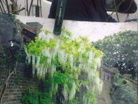 nokia 22.03.09 017.jpg