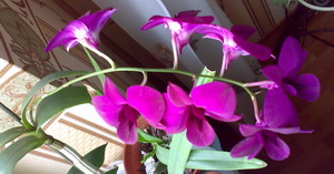 хочется на этом поэкспериментировать