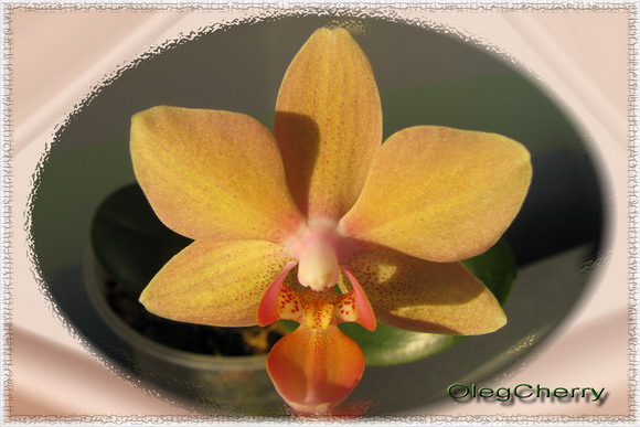 это типа художественного фото ;-)