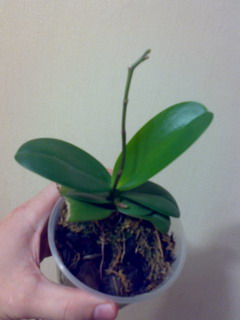 Это мы сейчас такие