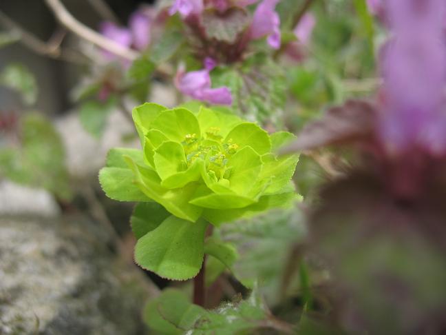 Что-то симпотичное