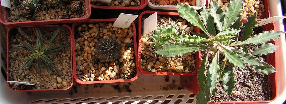 2006_06_07 010_sm.jpg