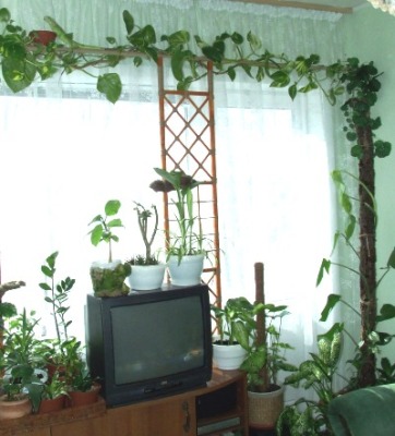 Правая часть.JPG