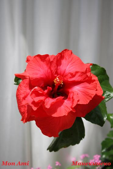 IMG_1060 190409 а.jpg