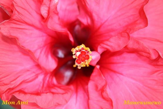 IMG_1036 190409 б.jpg