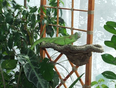 на грибочке.JPG