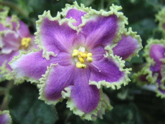 09.04.2009 г. 028.jpg