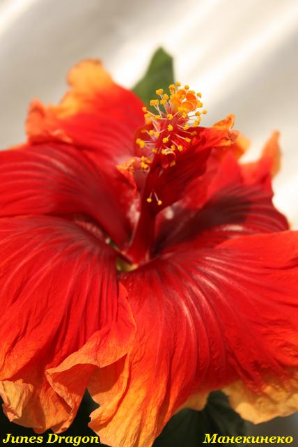 IMG_1122 250409 1.jpg