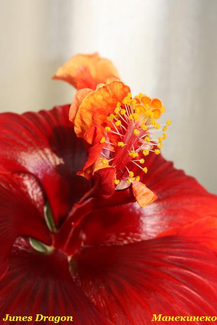 IMG_1128 250409 2.jpg