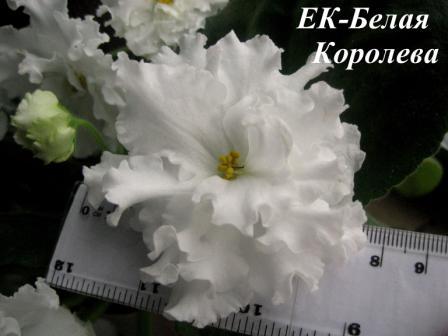 без комментариев:)