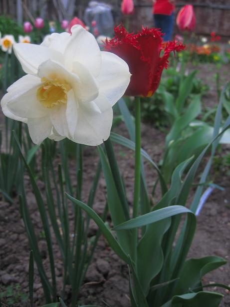 Сладкая парочка