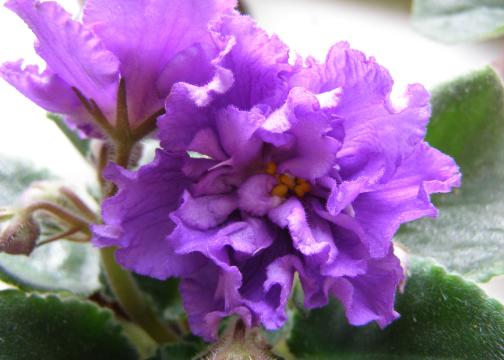 Неизвестно кто